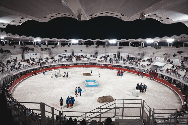 Ultimate DIY Sport Bike Maintenance Kit for the UK: Your Must-Have Guide